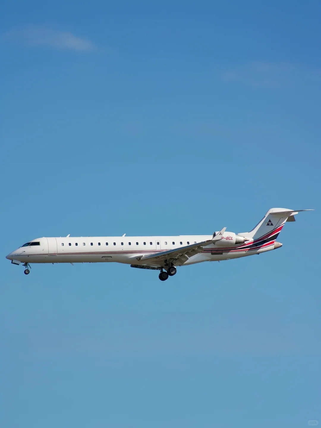 私人飞机（499）—联合承包商公司的庞巴迪