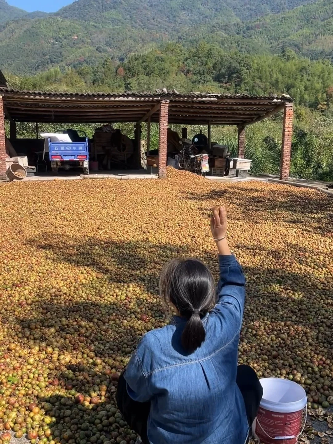 我被返乡务农的少女逗乐了