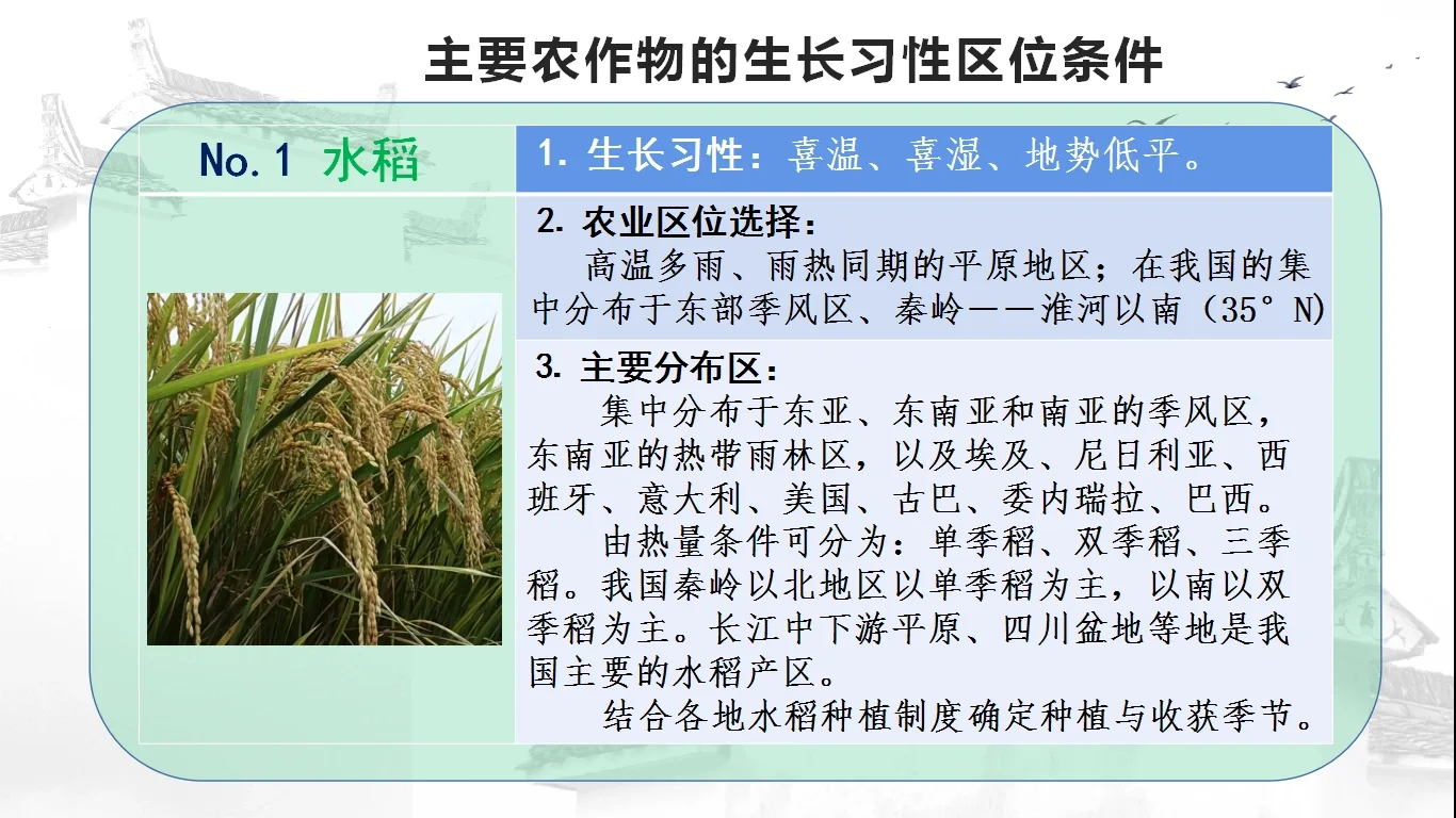 高考主要农作物