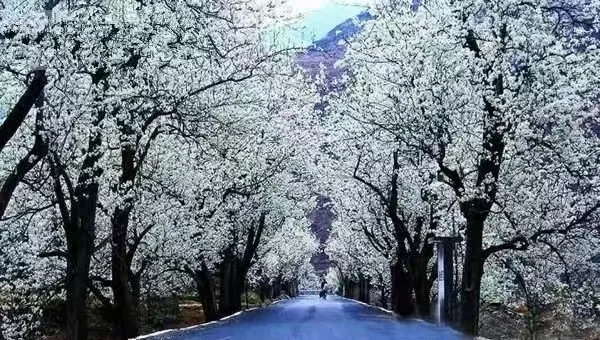 归农是非常好的平台，我希望他能帮助更多人