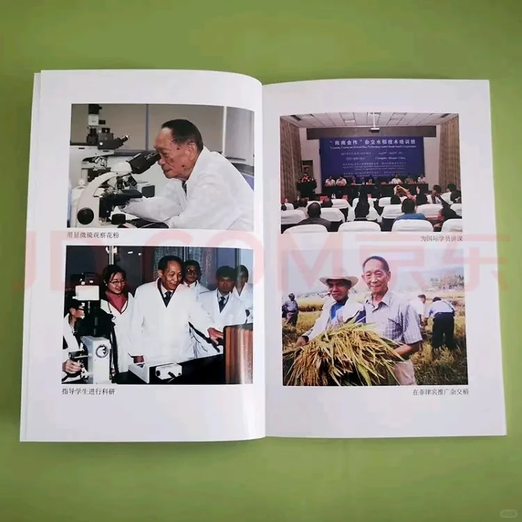 全谷物营养健康与加工