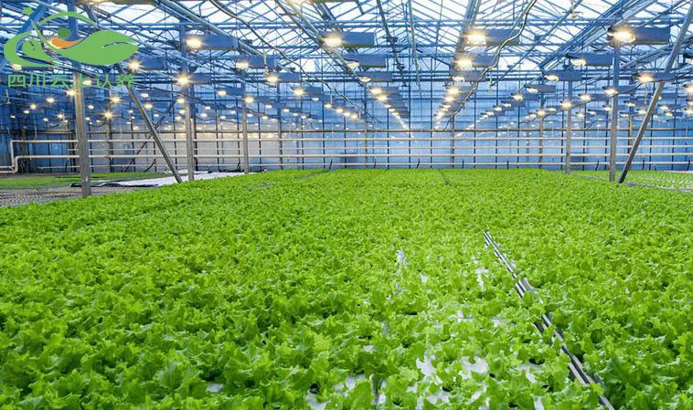 可视化认养农民增收新路径，乡村振兴新实践