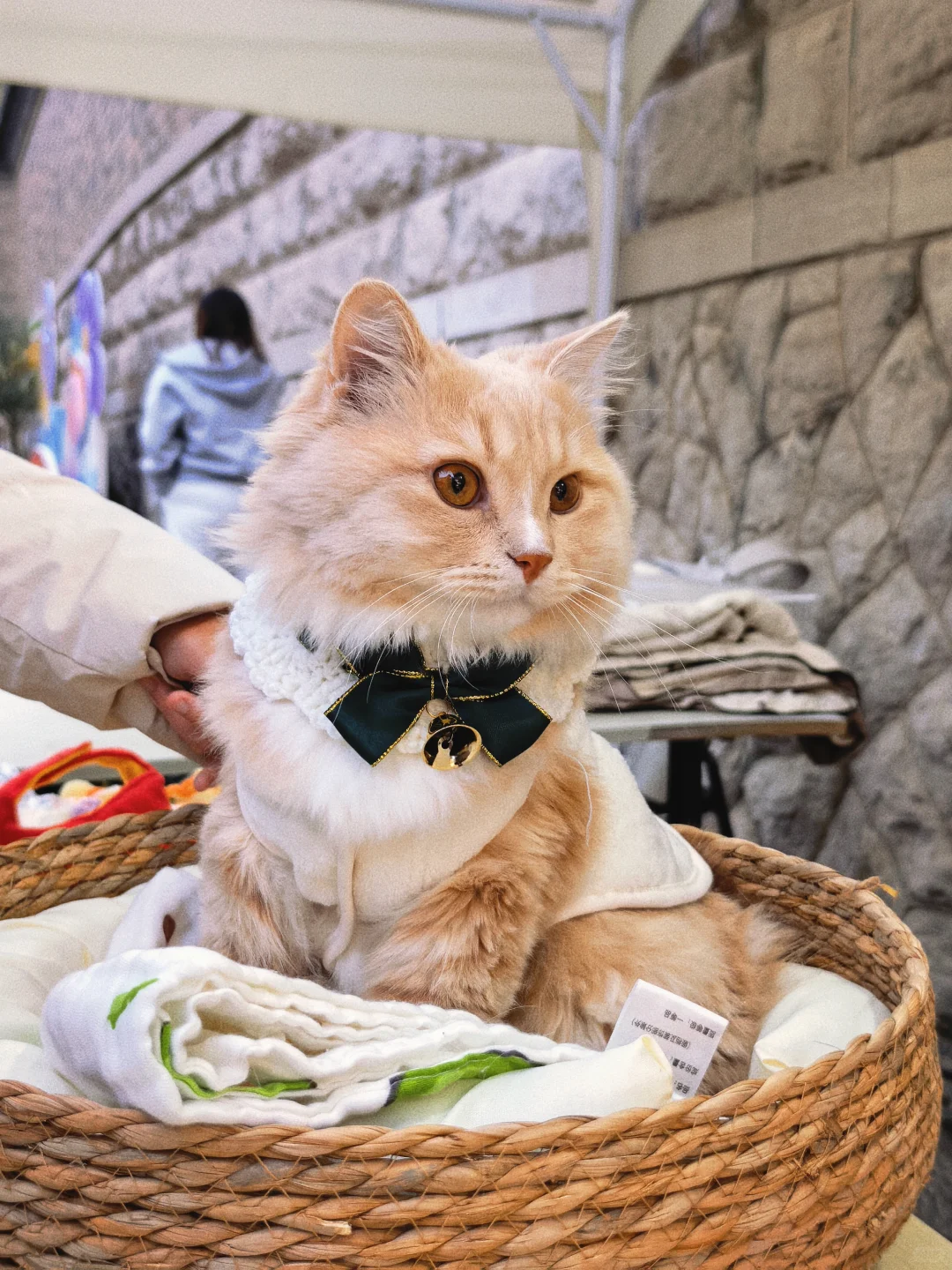 上新集·生活美学市集｜好逛好玩，现场见！