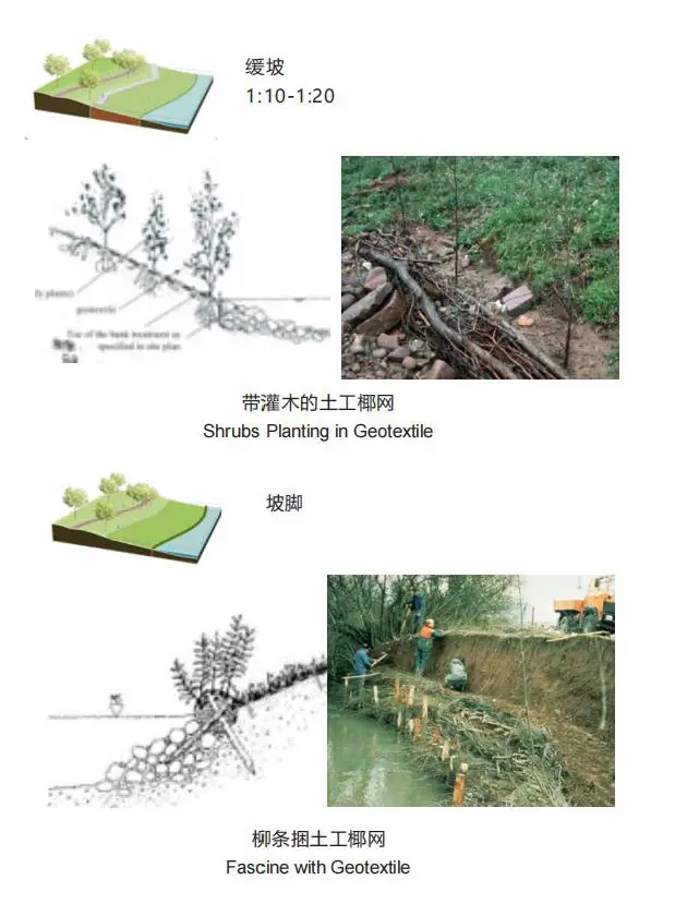 分析图|12类河岸生态修复的方法