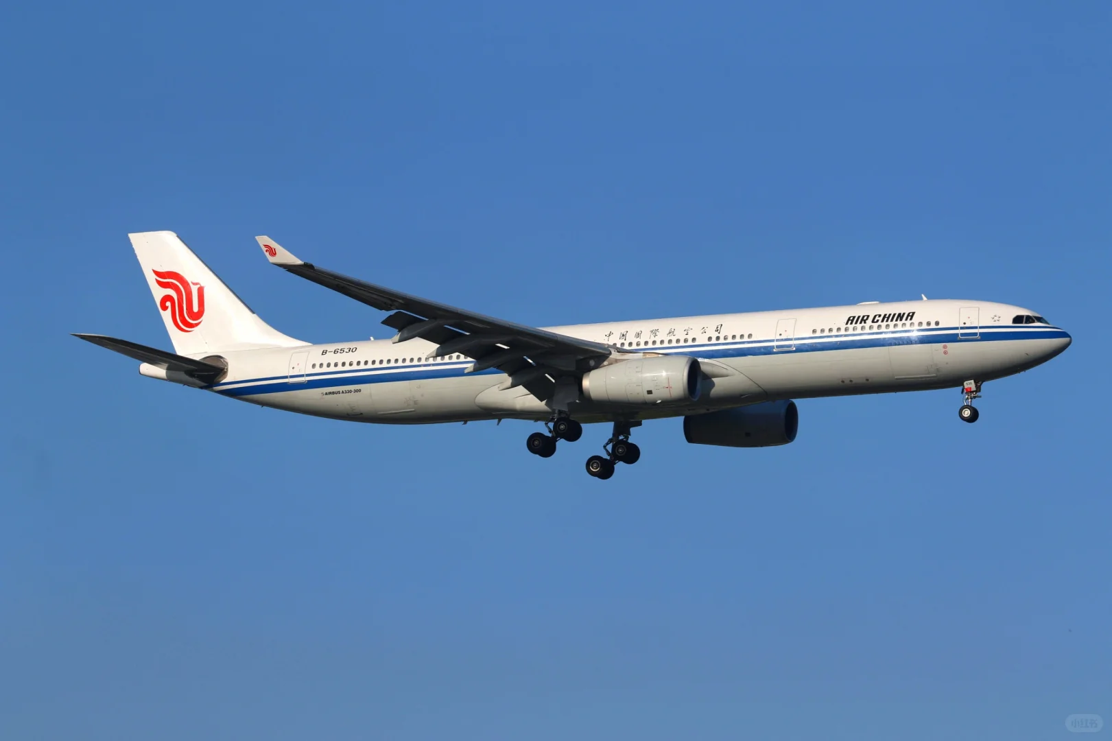 虹桥机场拍宽体