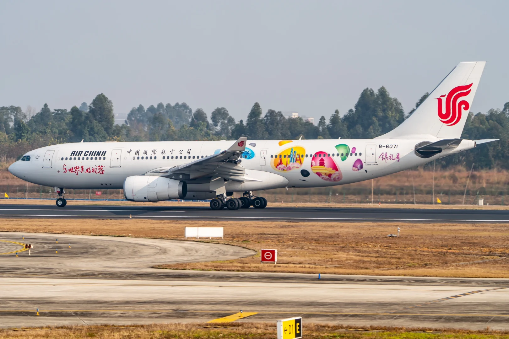 成都双流的宽体盛宴，大家最喜欢做哪个机型