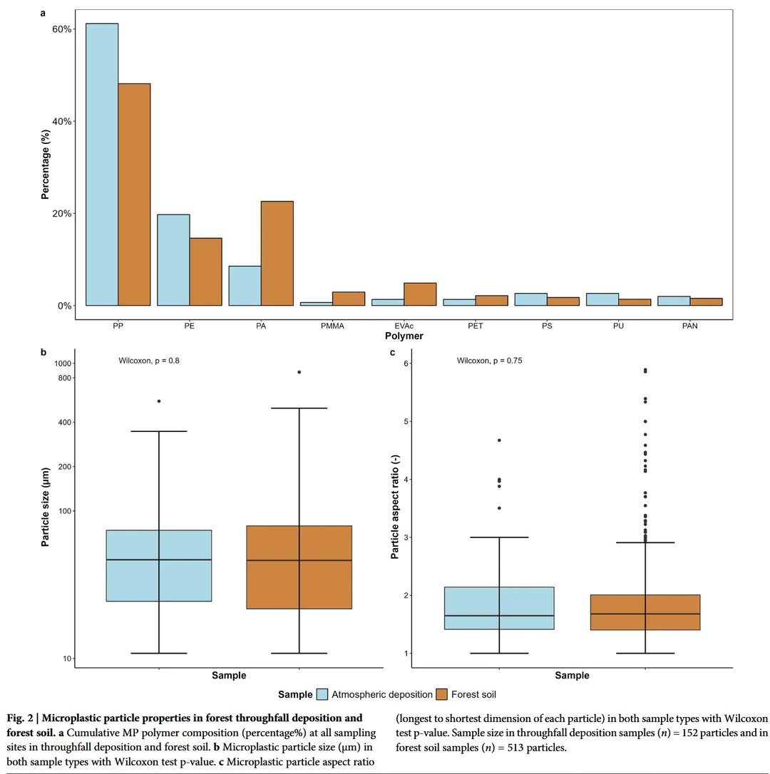 森林土壤为何“吸塑”？——大气沉降是主因