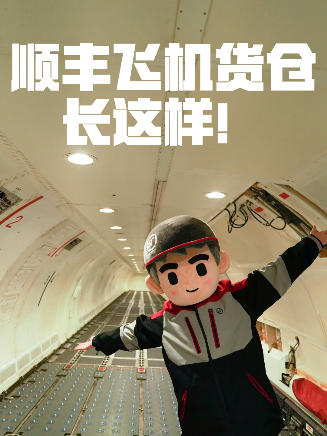 原来大家都很好奇顺丰飞机的货仓长什么样?