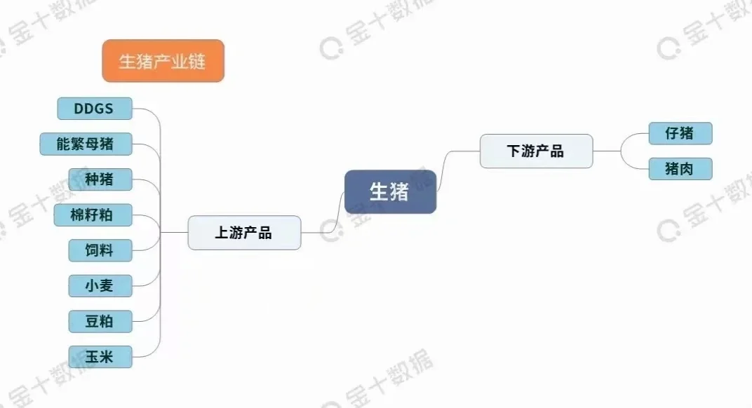 期货农产品板块产业链汇总！