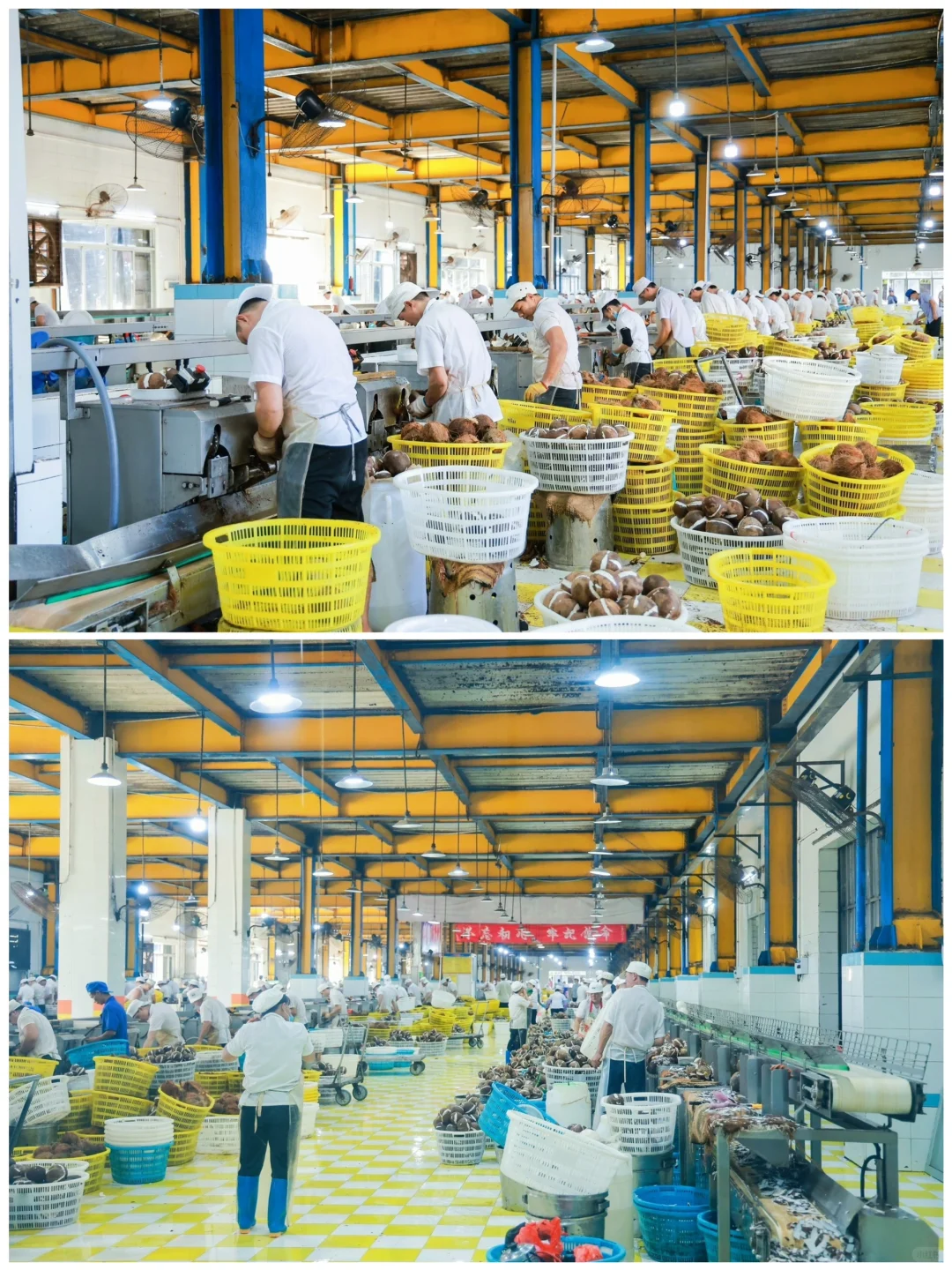 海南椰树原来都生产过这么多产品了呀～