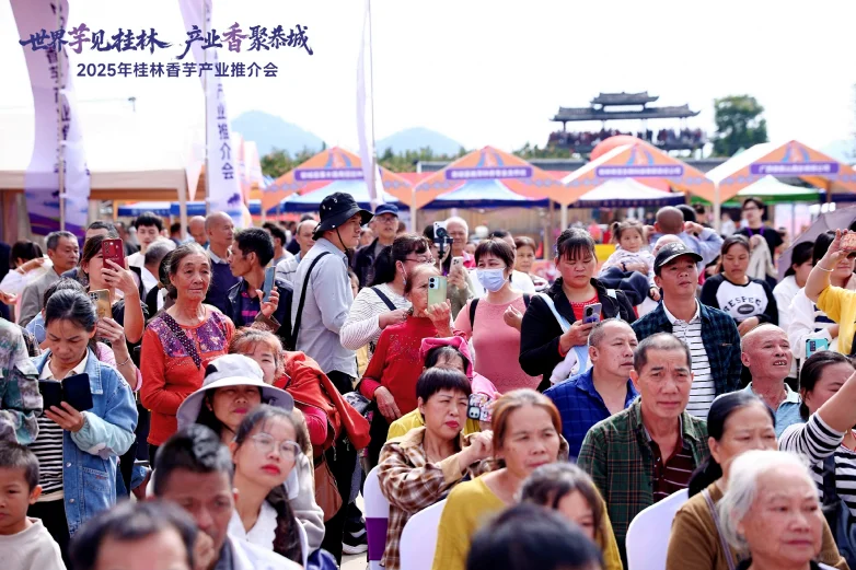 2025年桂林香芋产业推介会在恭城成功举办
