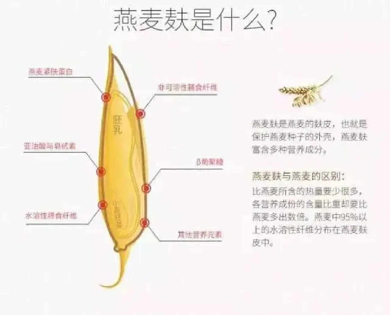 市场上那么多燕麦,我该怎么选??