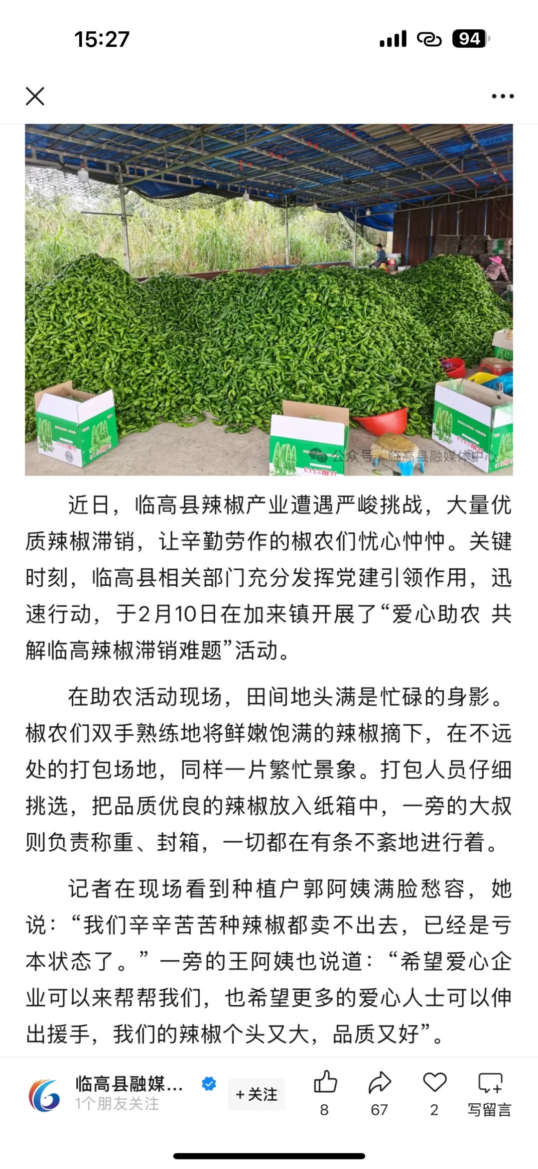 ?️紧急助农！海南临高辣椒滞销