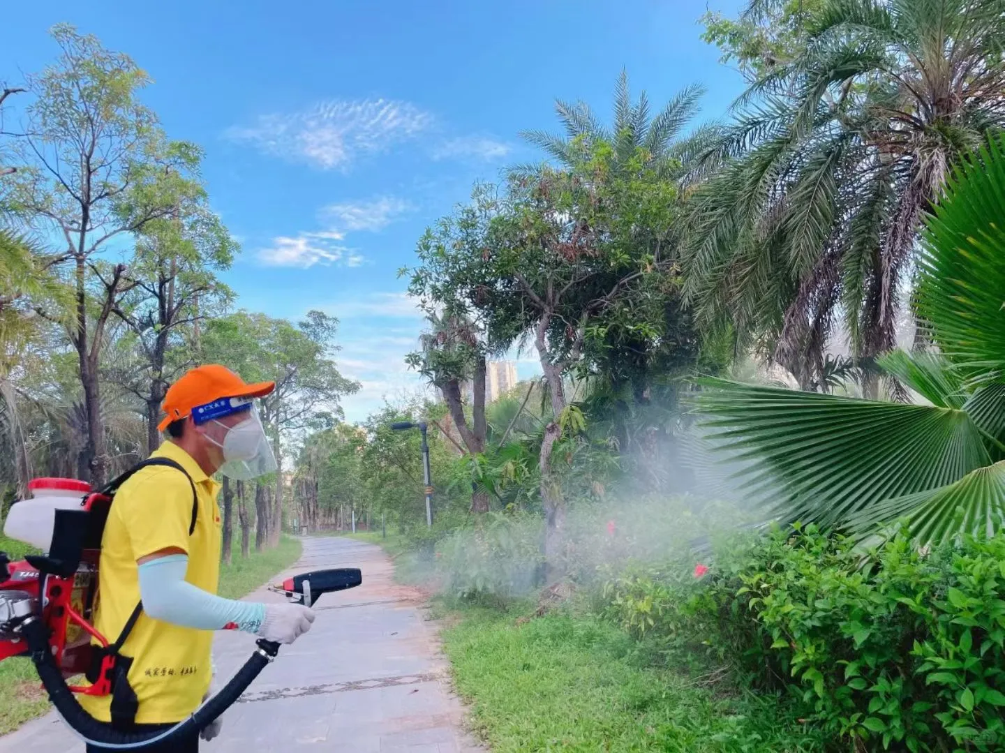 广州消杀公司推荐花都区消杀除四害