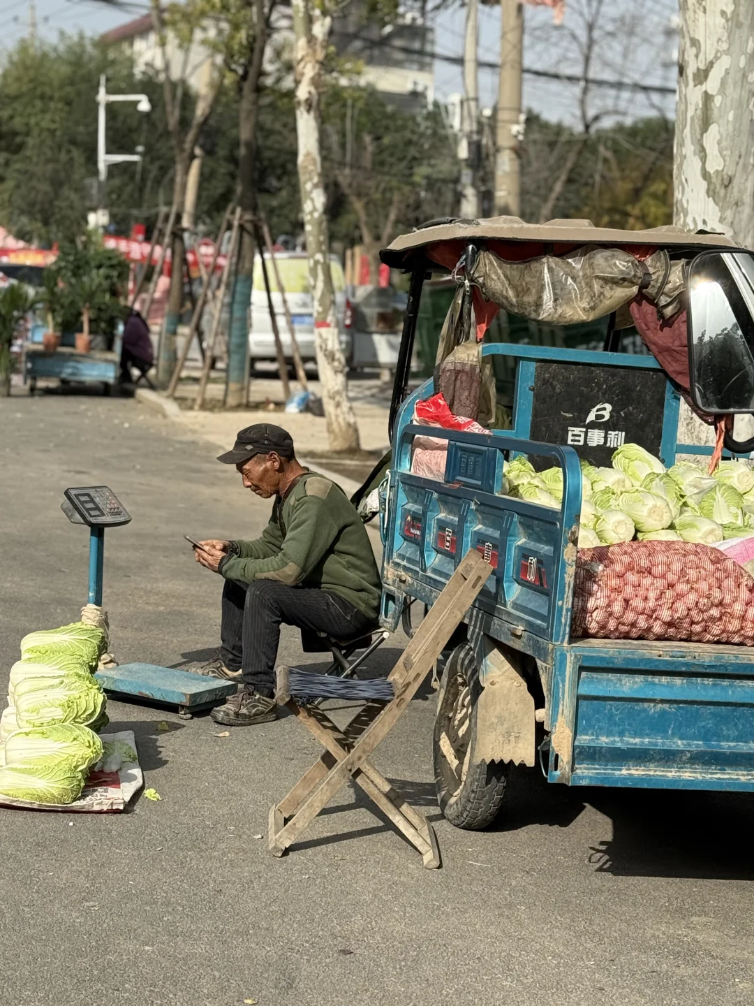 一叶之灵 窥尽全秋