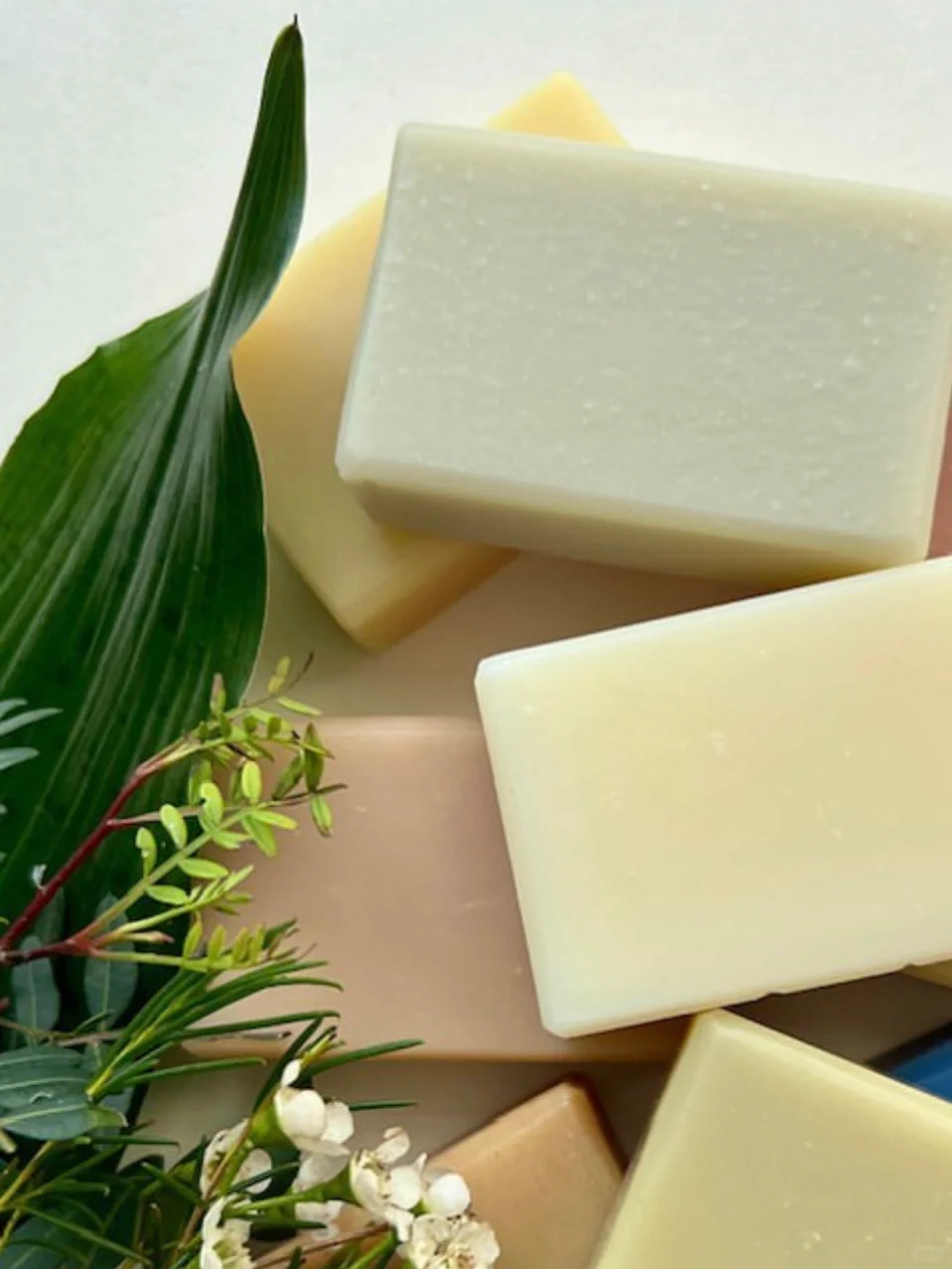 马鞭草：疗愈净化、滋润肌肤的自然选择