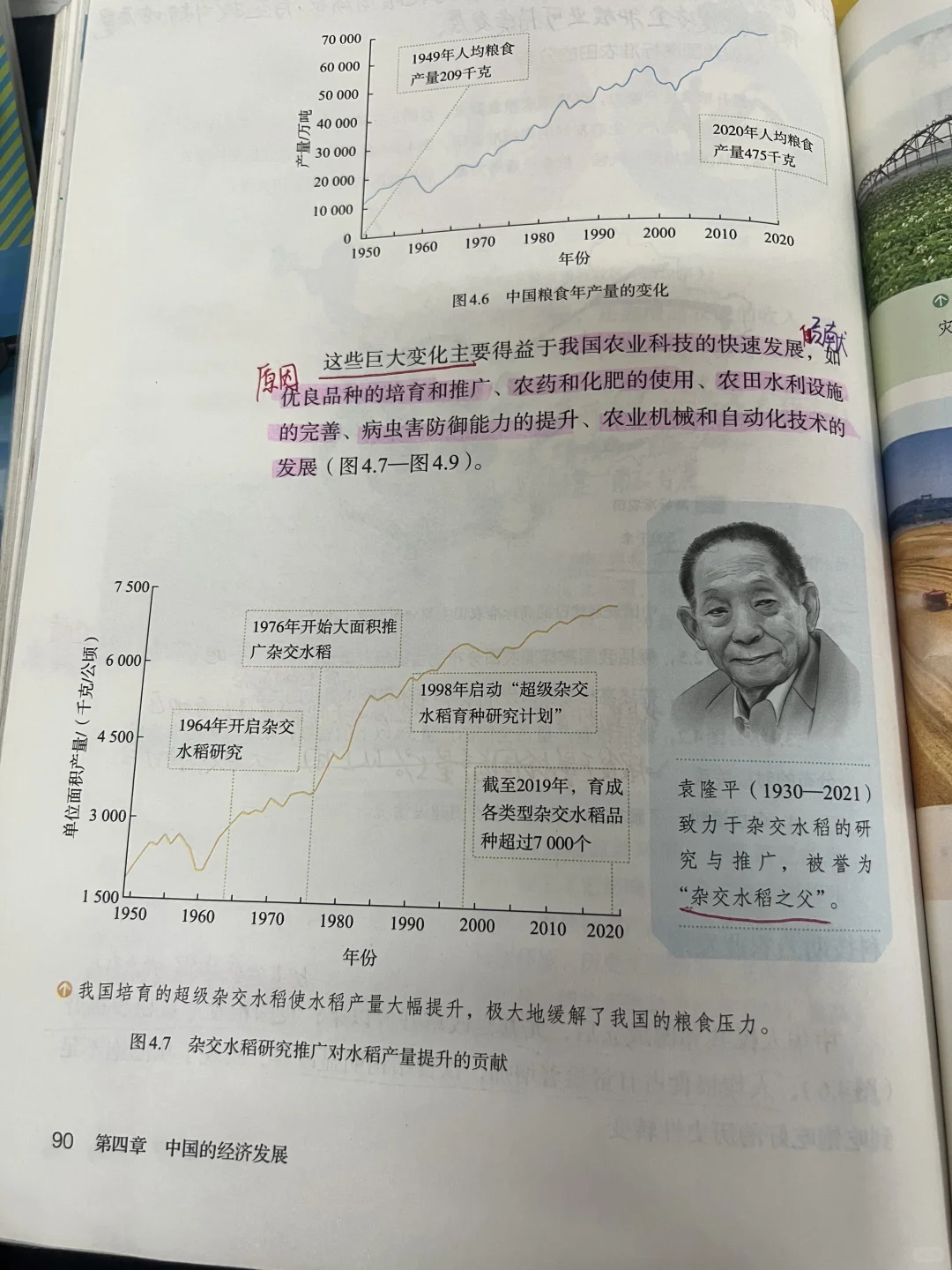 八上地理 农业