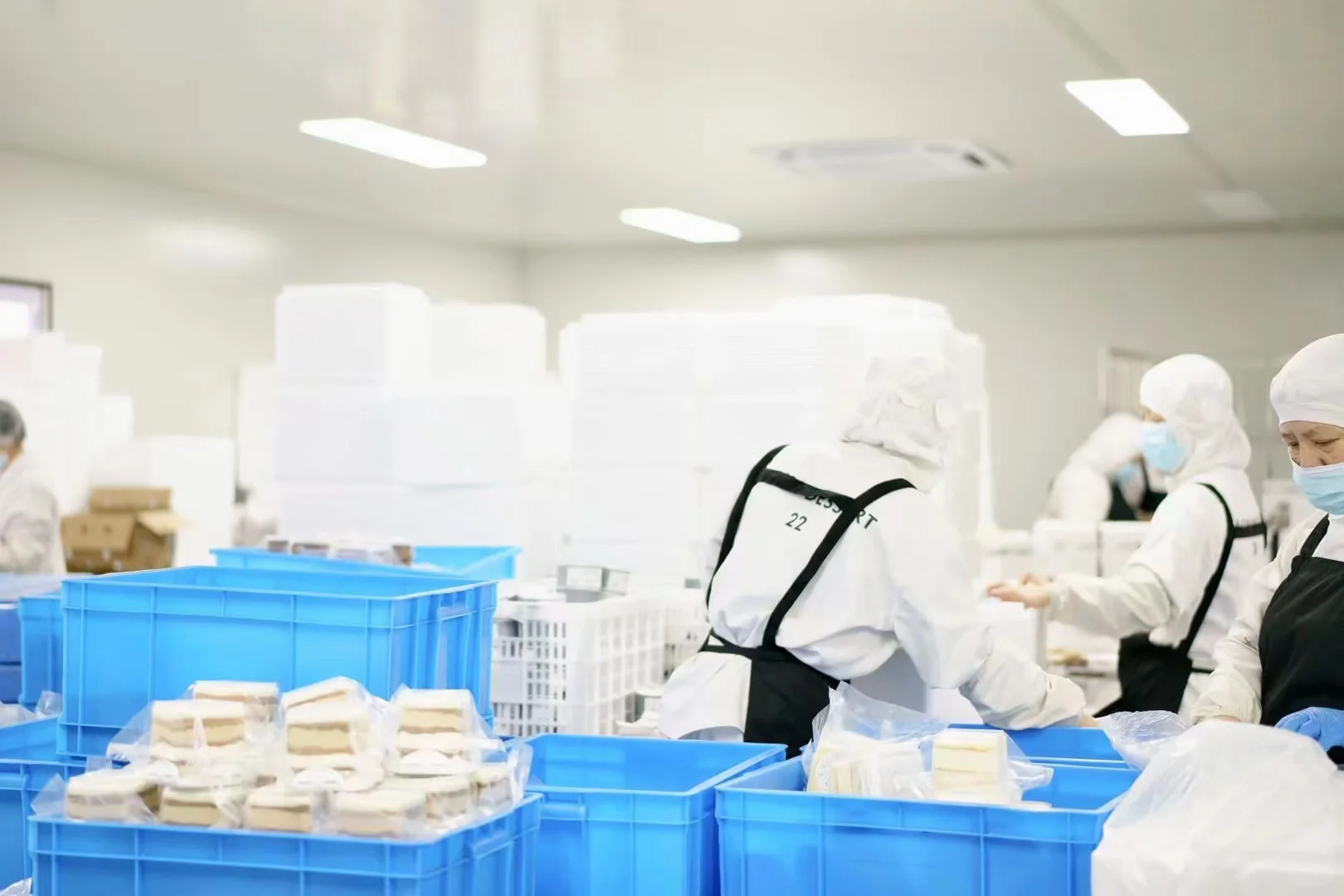 专业工厂生产，不是小作坊！！