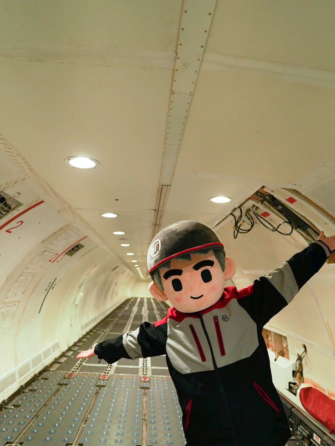 原来大家都很好奇顺丰飞机的货仓长什么样?