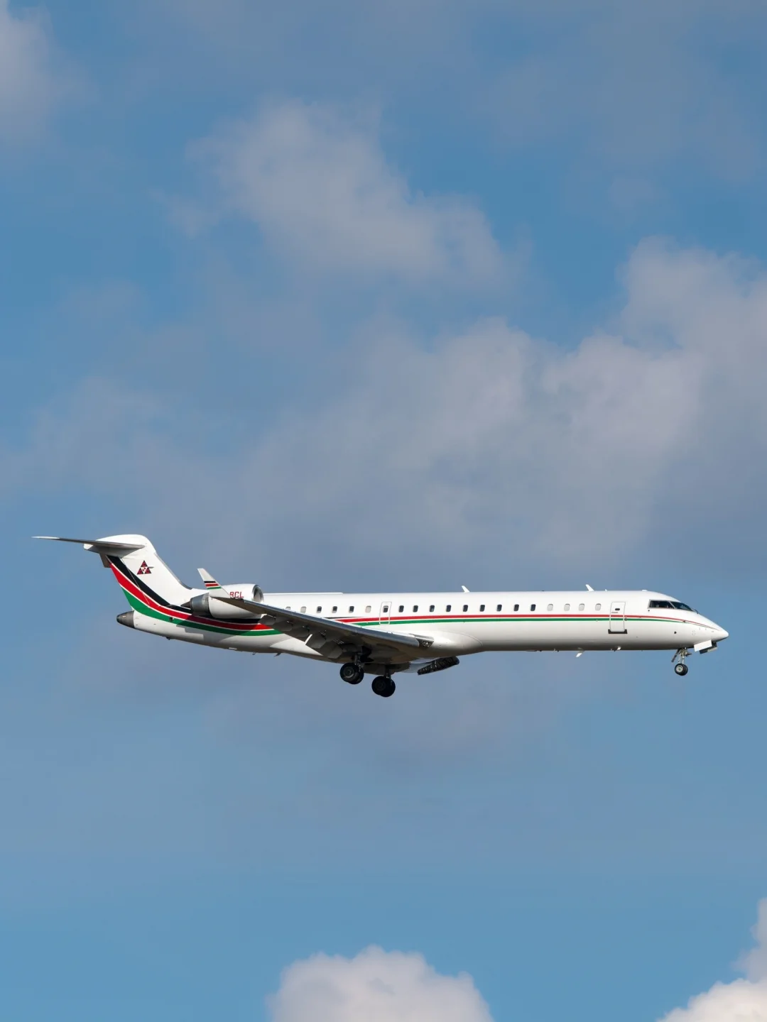 私人飞机（499）—联合承包商公司的庞巴迪