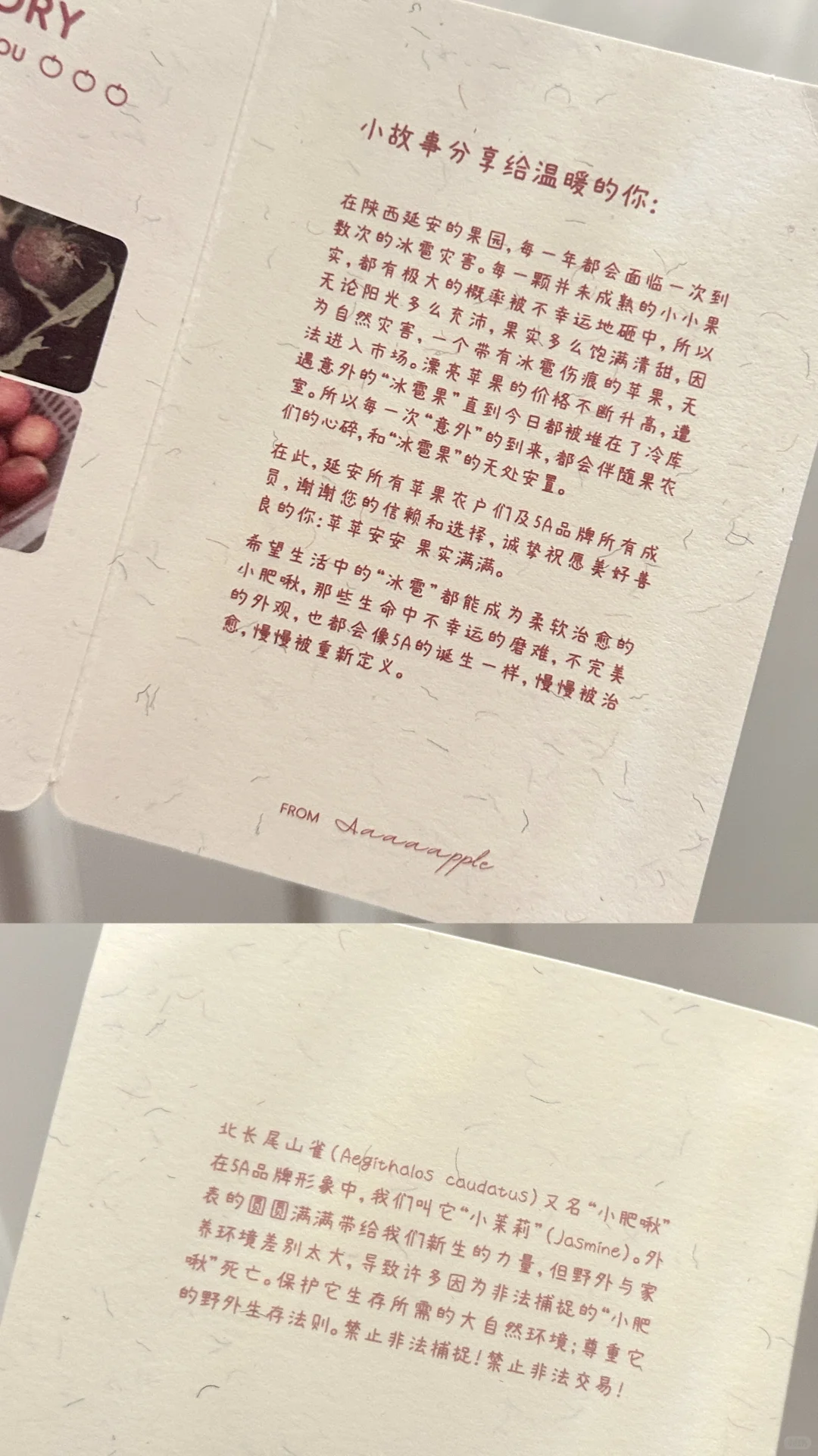 关于助农苹果，真吃过才敢说真话