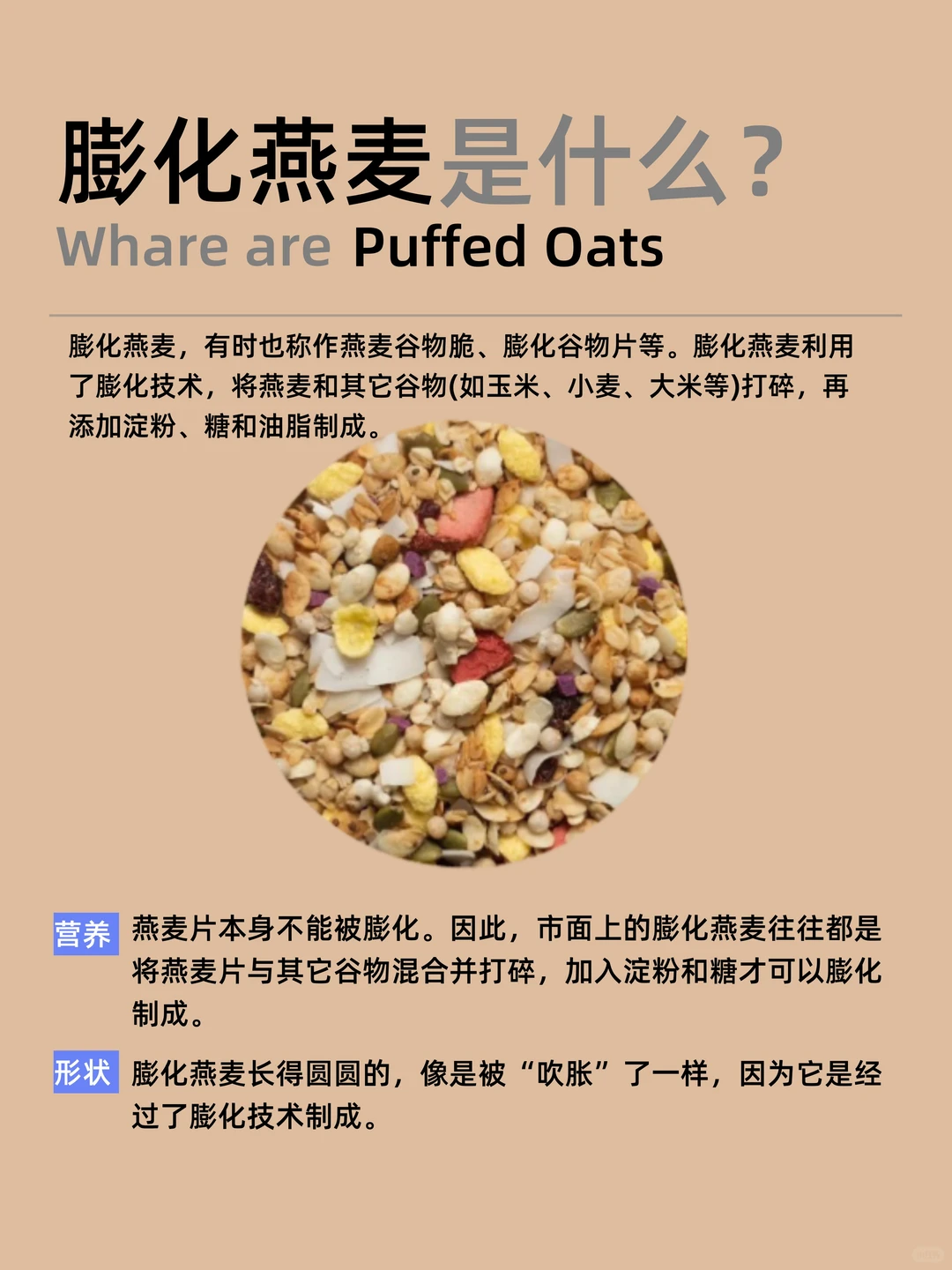 烘焙燕麦 vs 膨化燕麦 ｜怎么挑更健康？