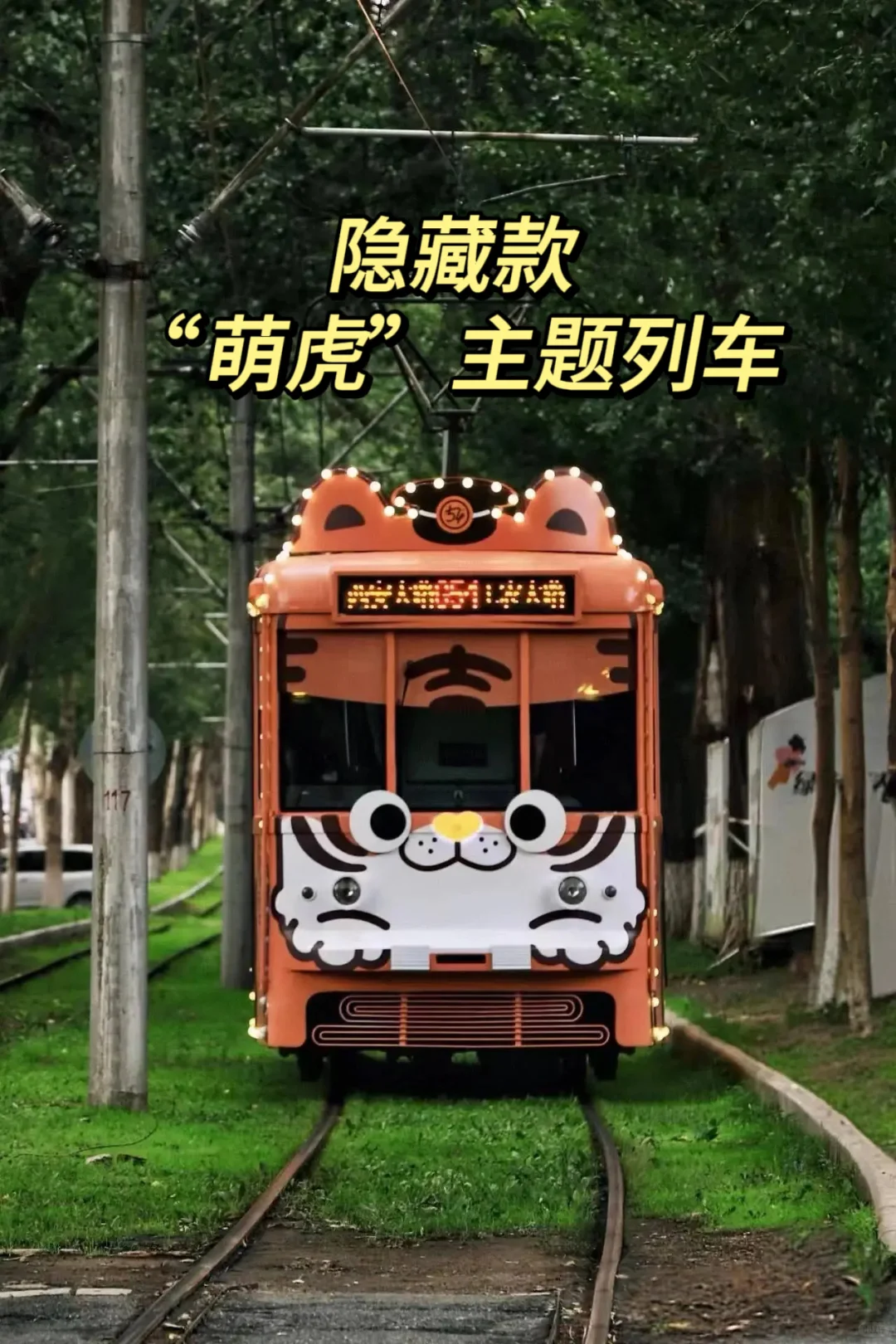 ✌️刷到就是赚到！这些高铁冷知识，知道3个算