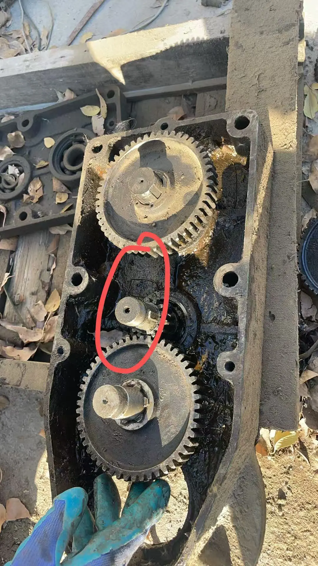 LDB驱动装置300LDAC型立式减速机驱动装置齿