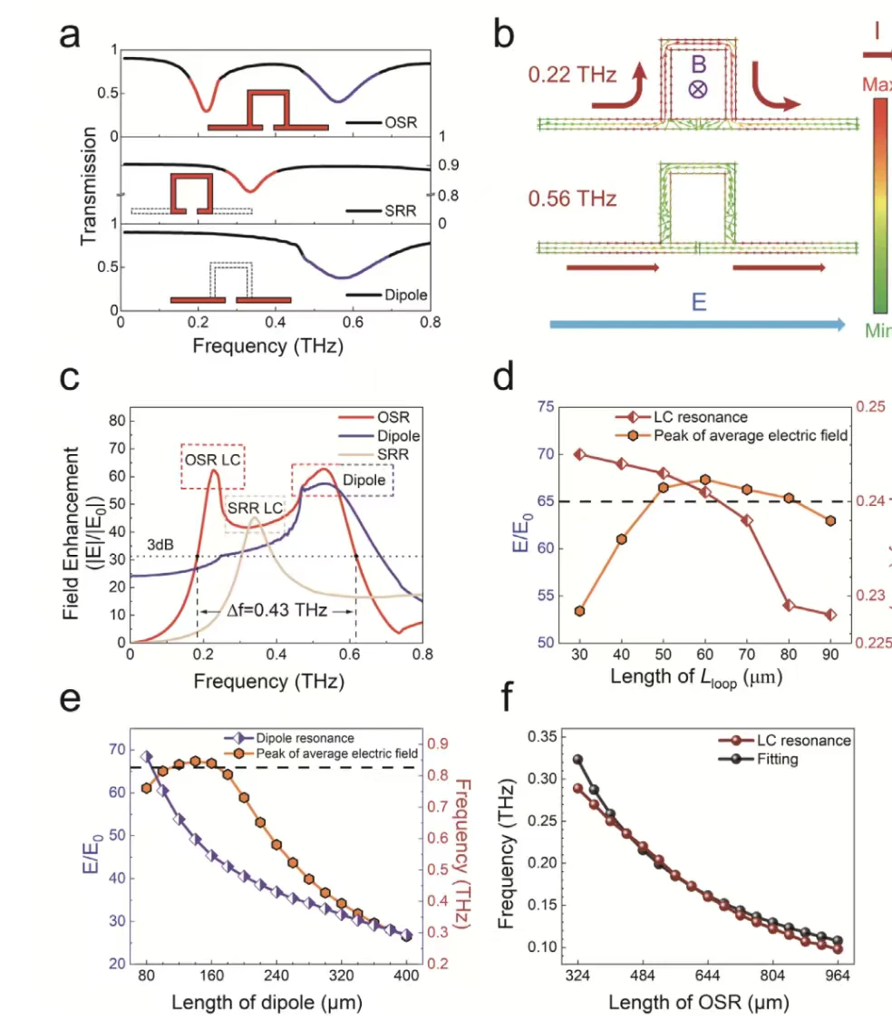 2025 上海理工LPR