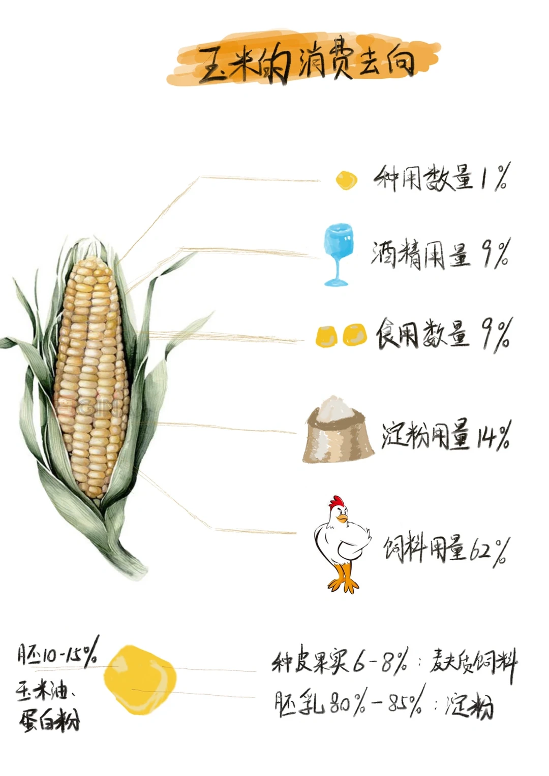 玉米的一些小知识