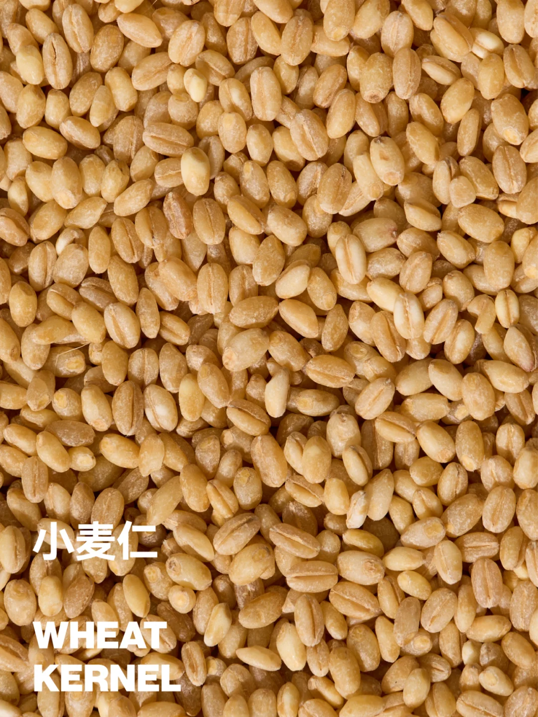 自然里与众不同的七色诗意