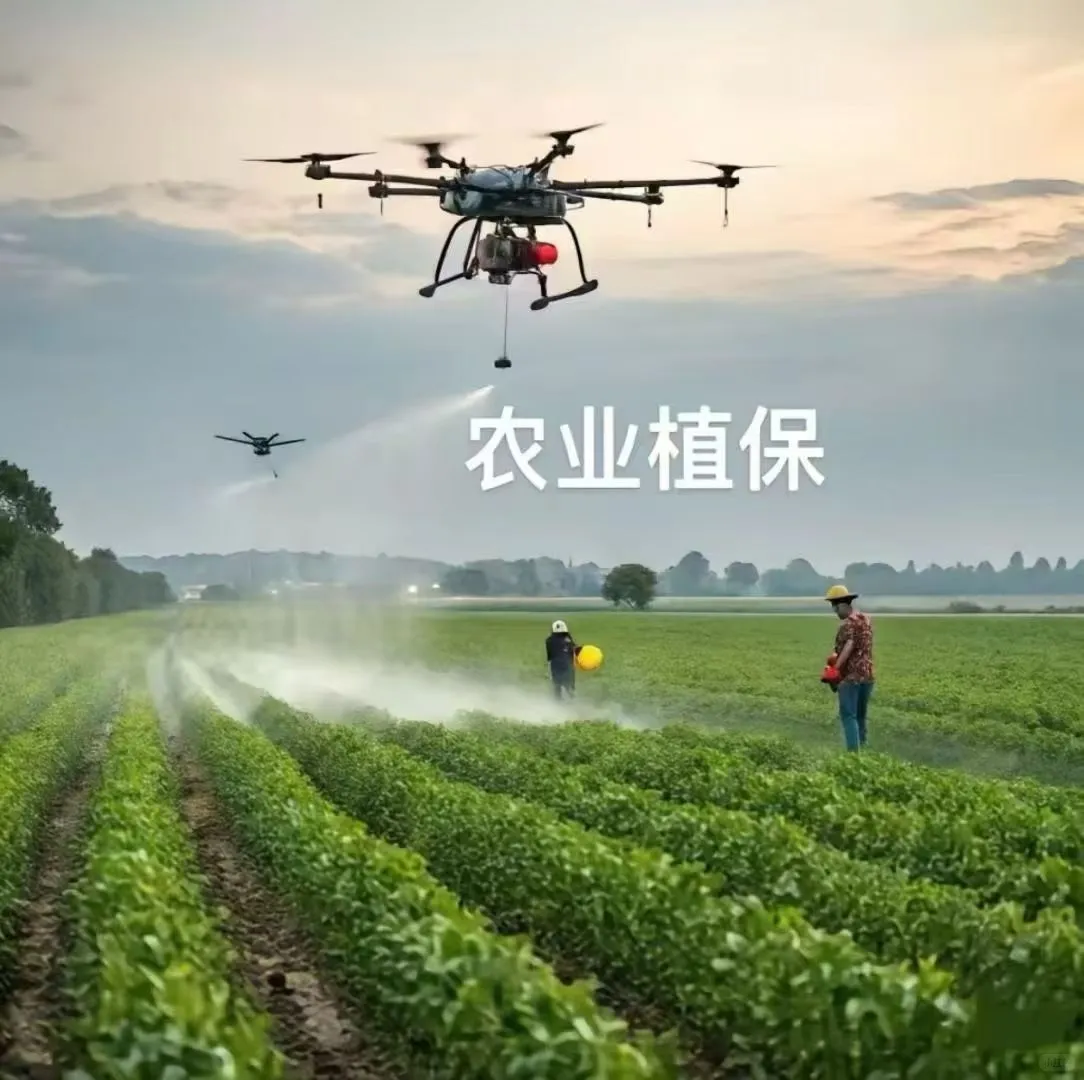 云南领航业务板块