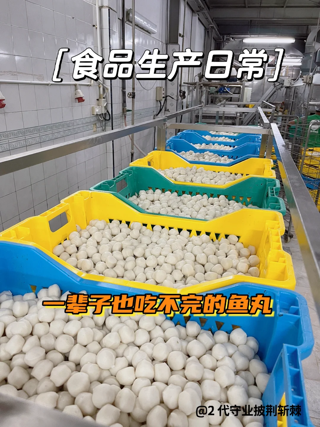 日常分享 ｜鱼丸生产线