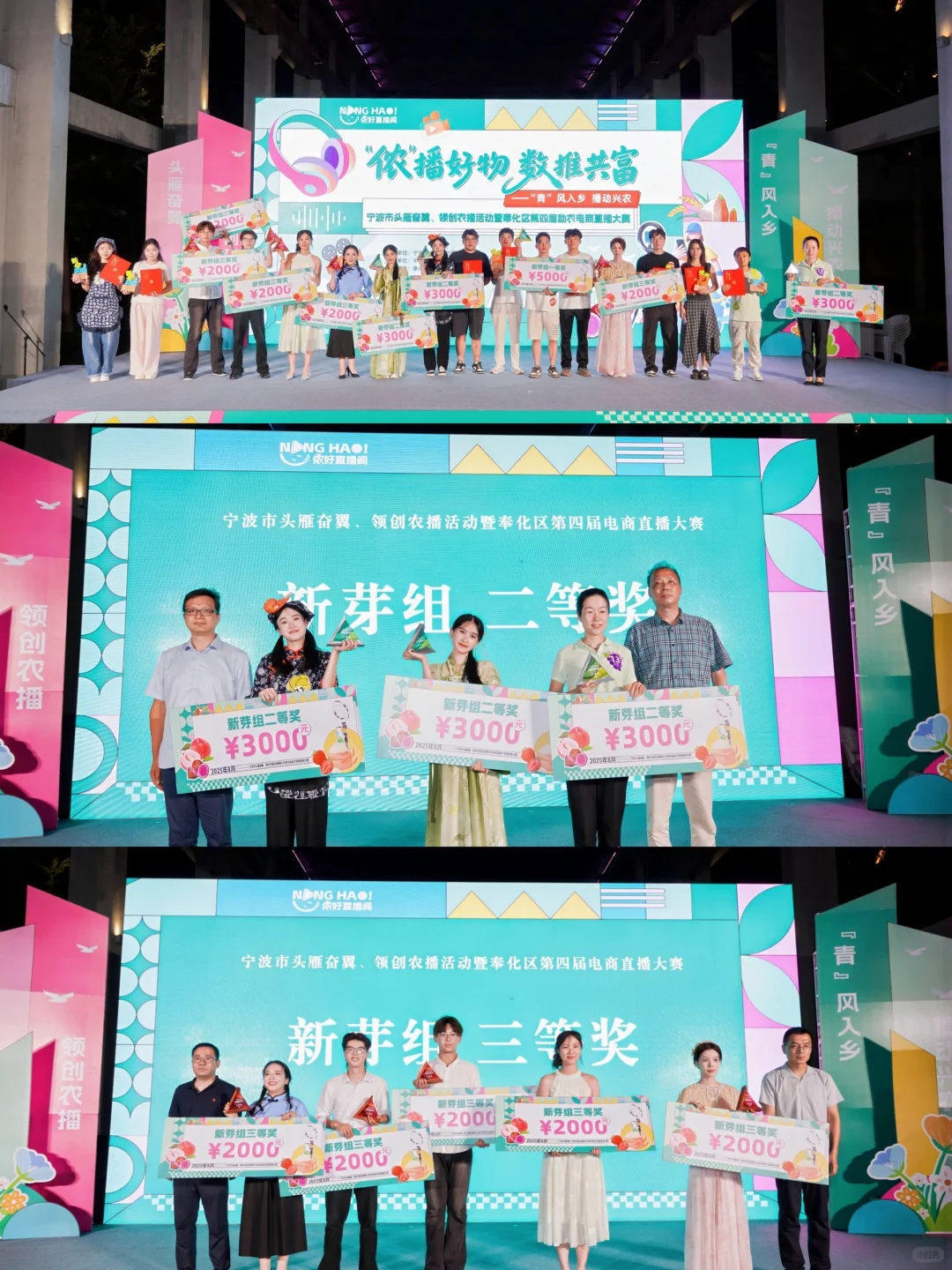 莓好青年团队——乡创路上的追梦人