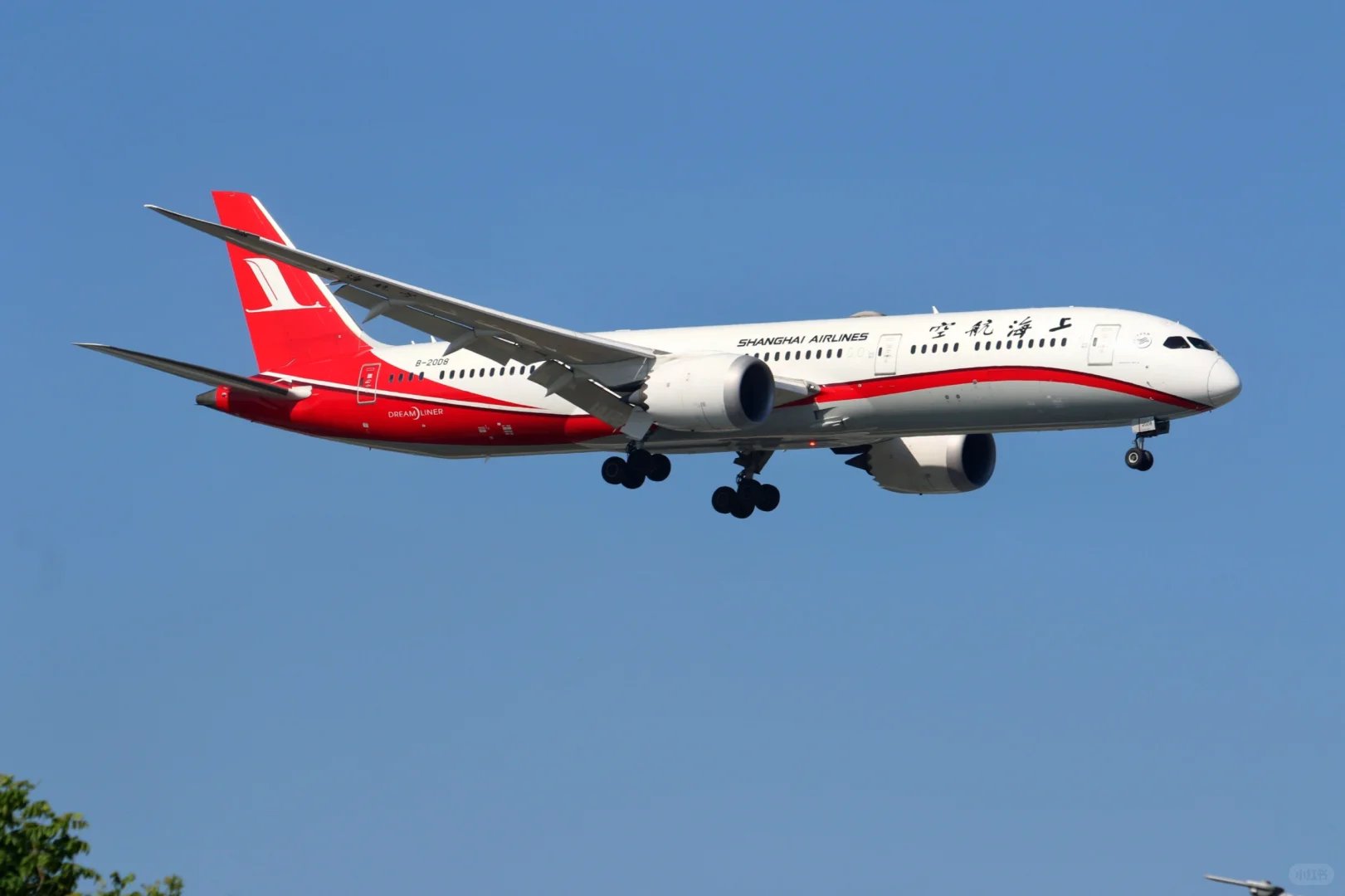 虹桥机场拍宽体