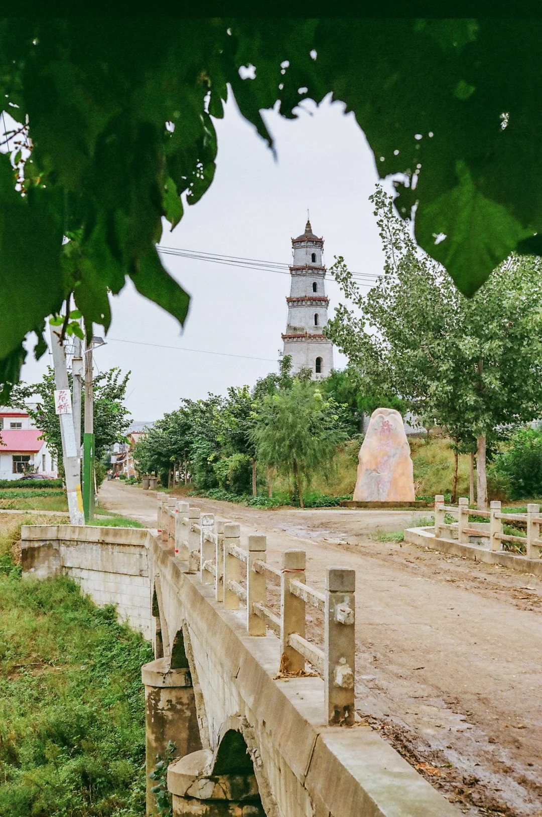 研岗村：河南漯河临颍县小村庄的秋天
