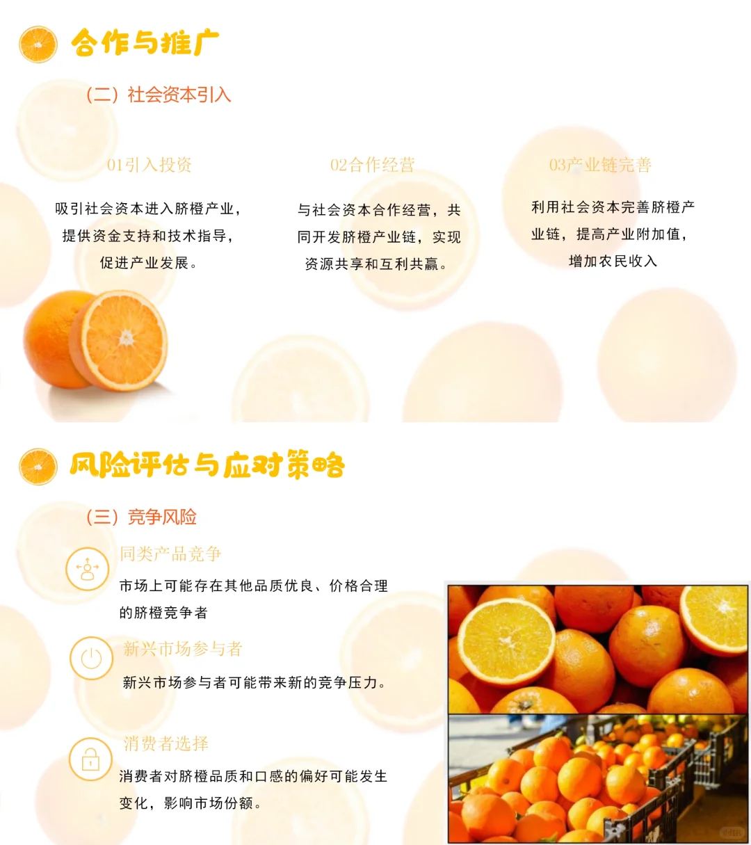 【带内容】脐橙助农项目策划方案PPT模板