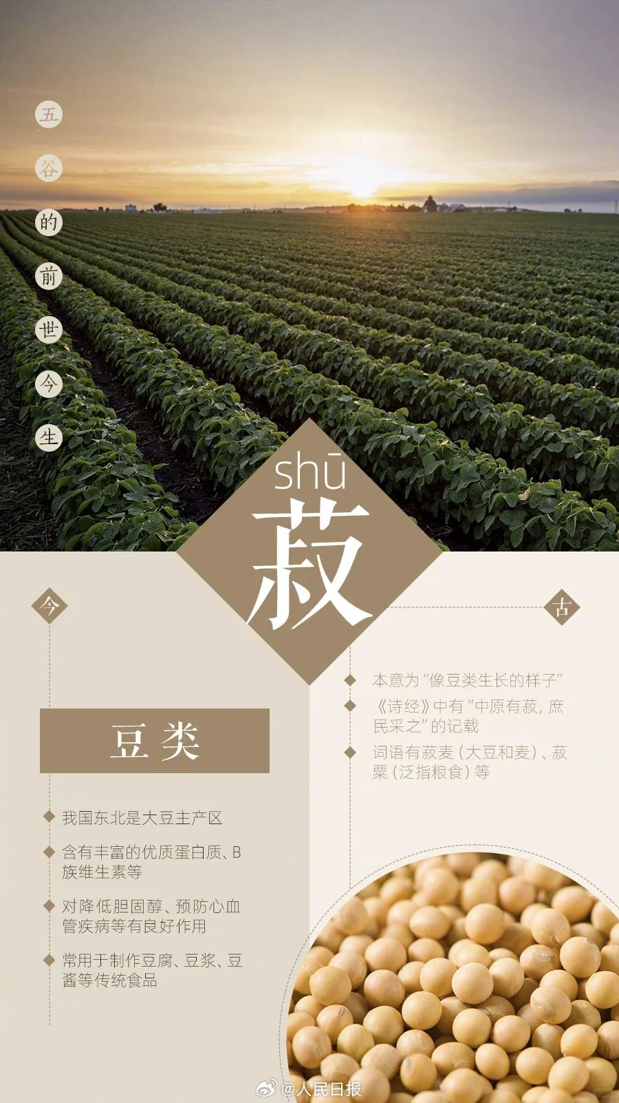 你知道五谷都有哪些吗？
