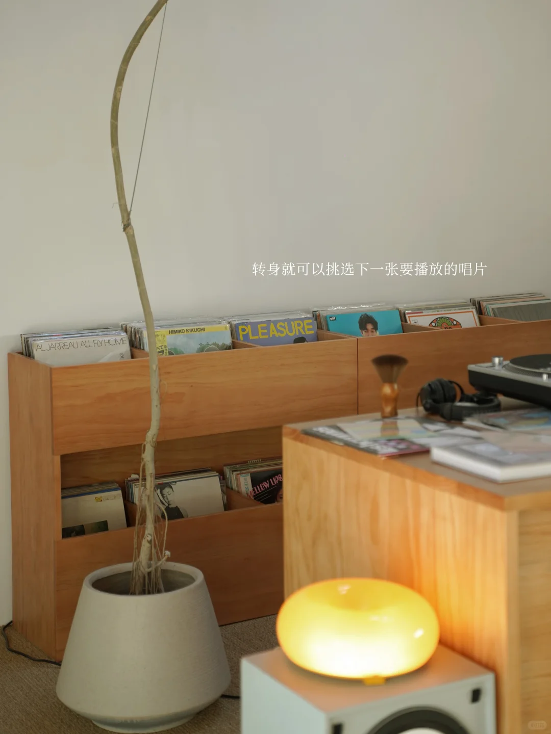 POV.你喜欢黑胶并且有个会点设计的wifie