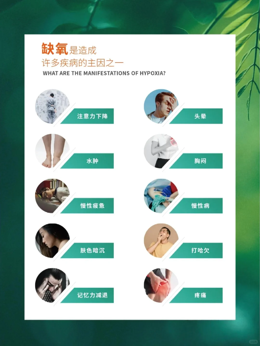 智慧养老?微压氧舱设计?