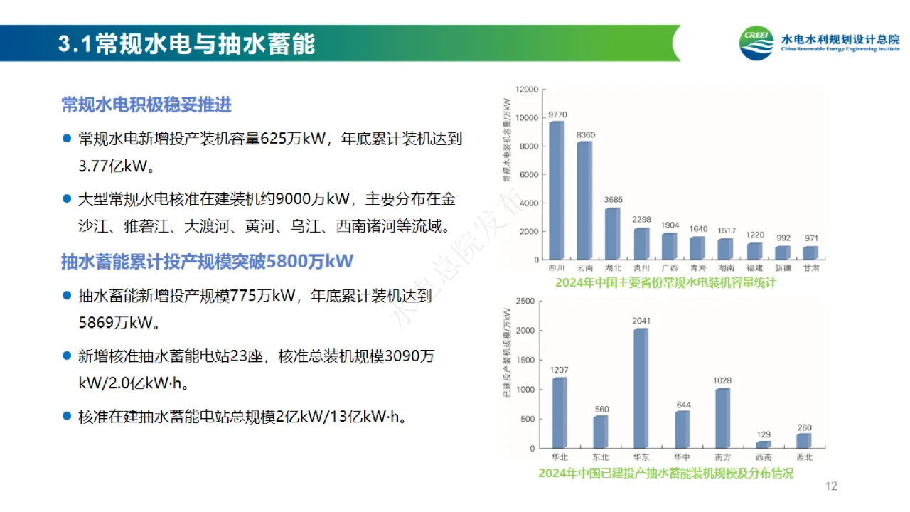 【中国可再生能源发展报告—2024】