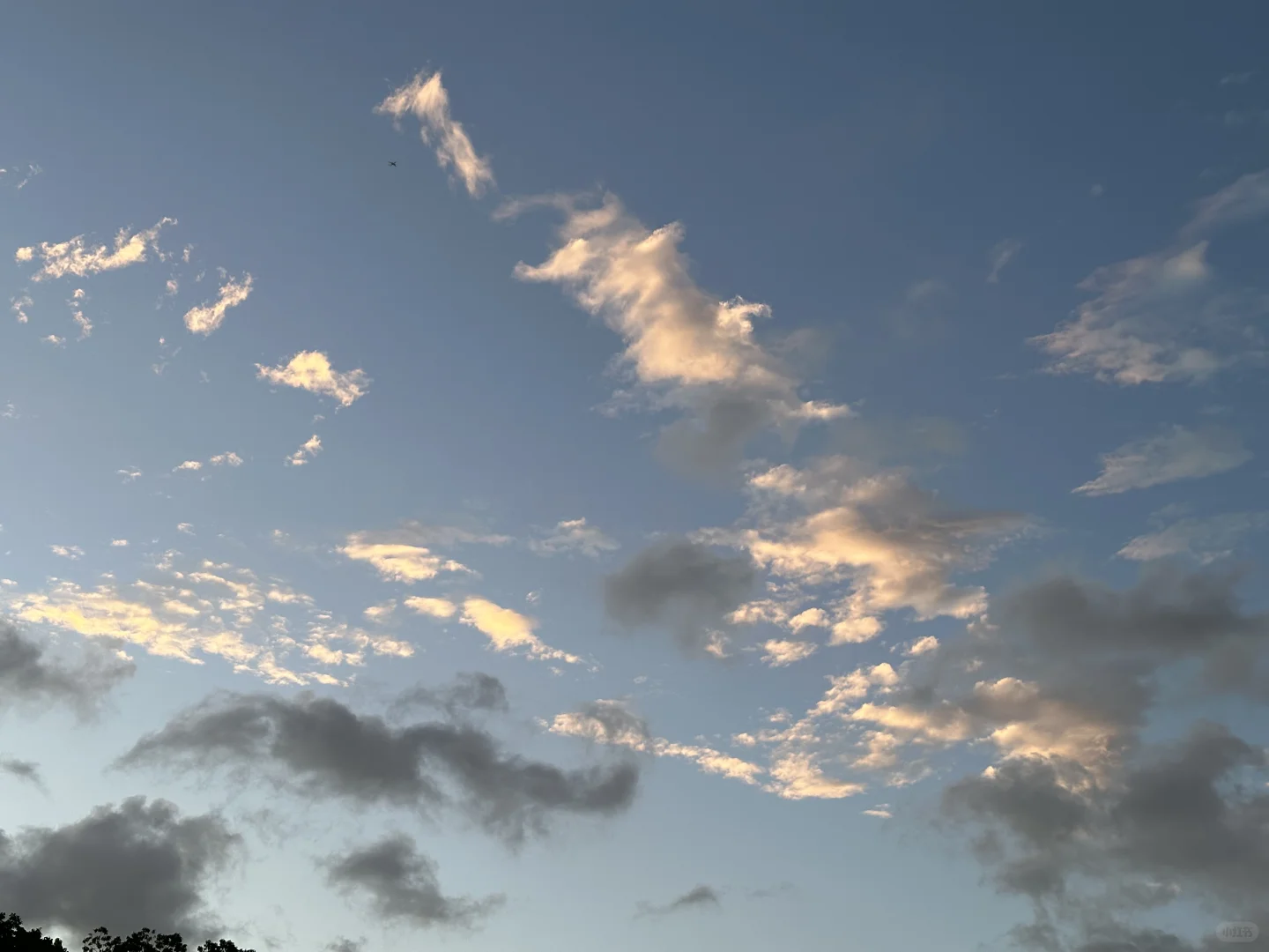 是谁在aaa建材批发市场拍片儿☁️?