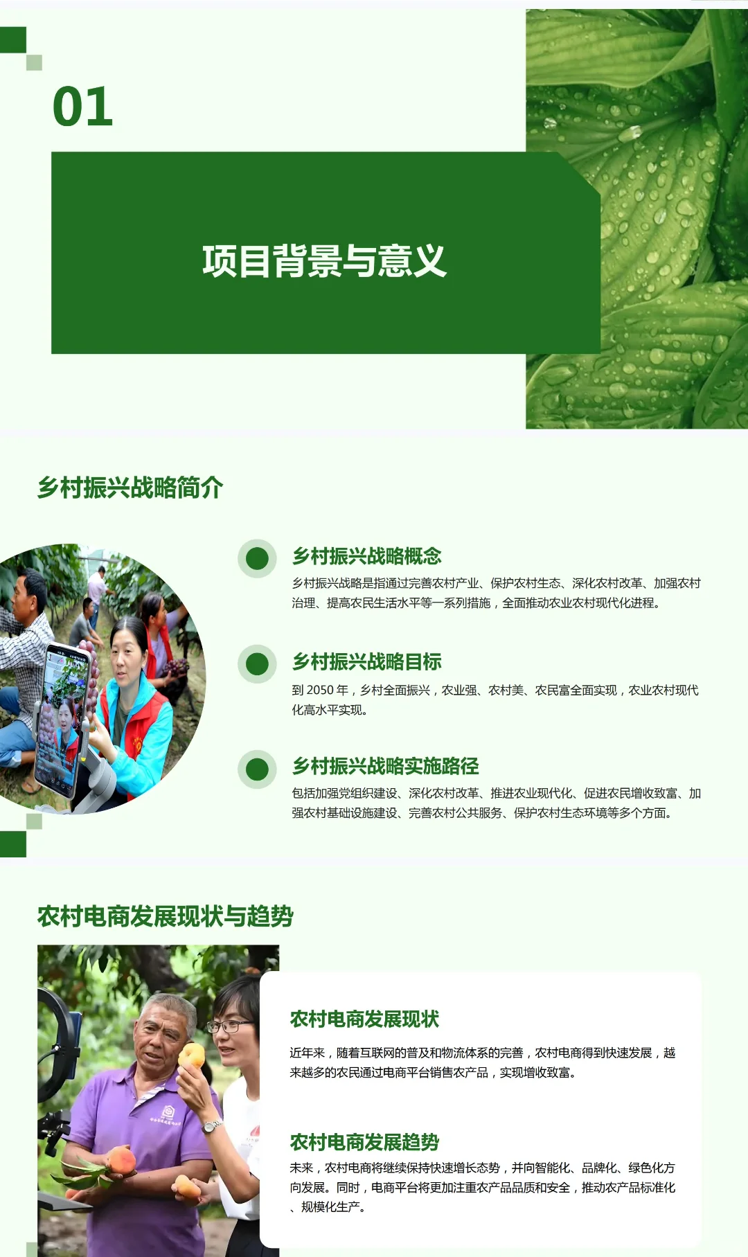 乡村振兴《农村电商扶贫项目》创业计划书
