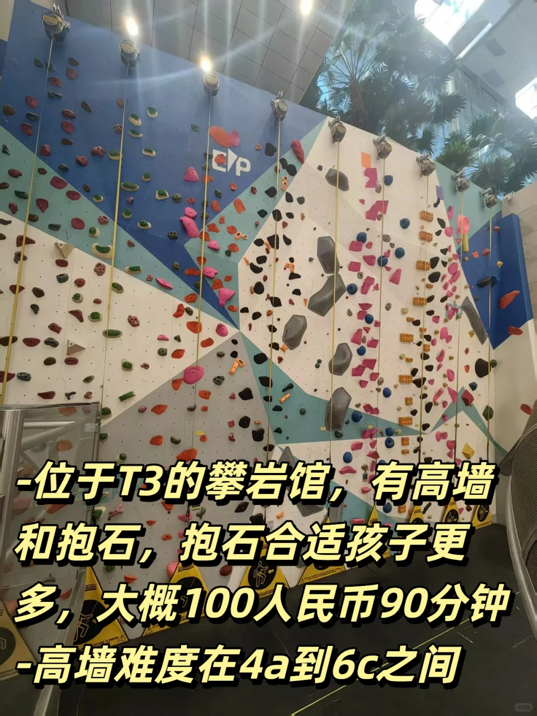 Day74 新加坡樟宜机场，一个不务正业的机场