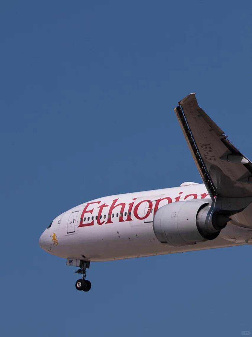 全新解锁埃塞航77W❗