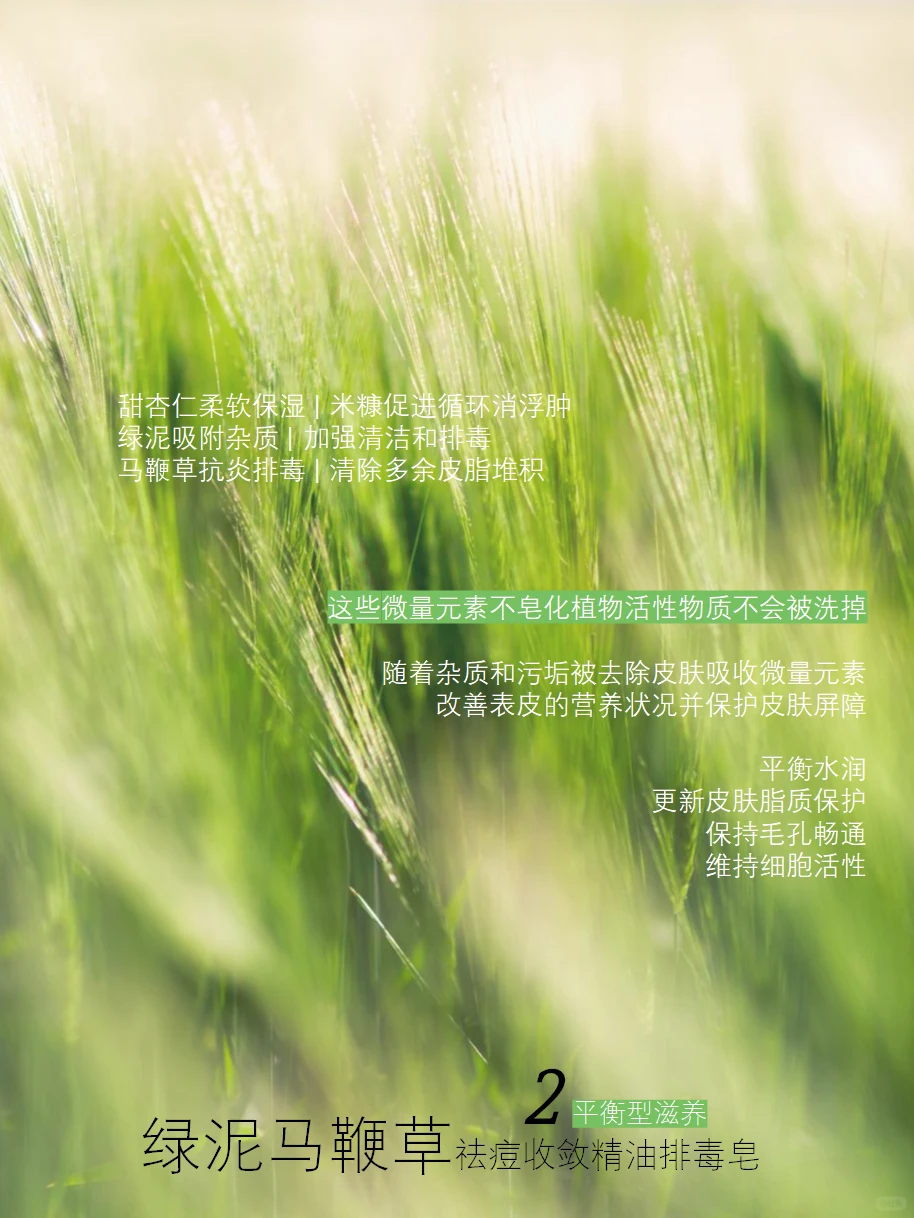 马鞭草：疗愈净化、滋润肌肤的自然选择