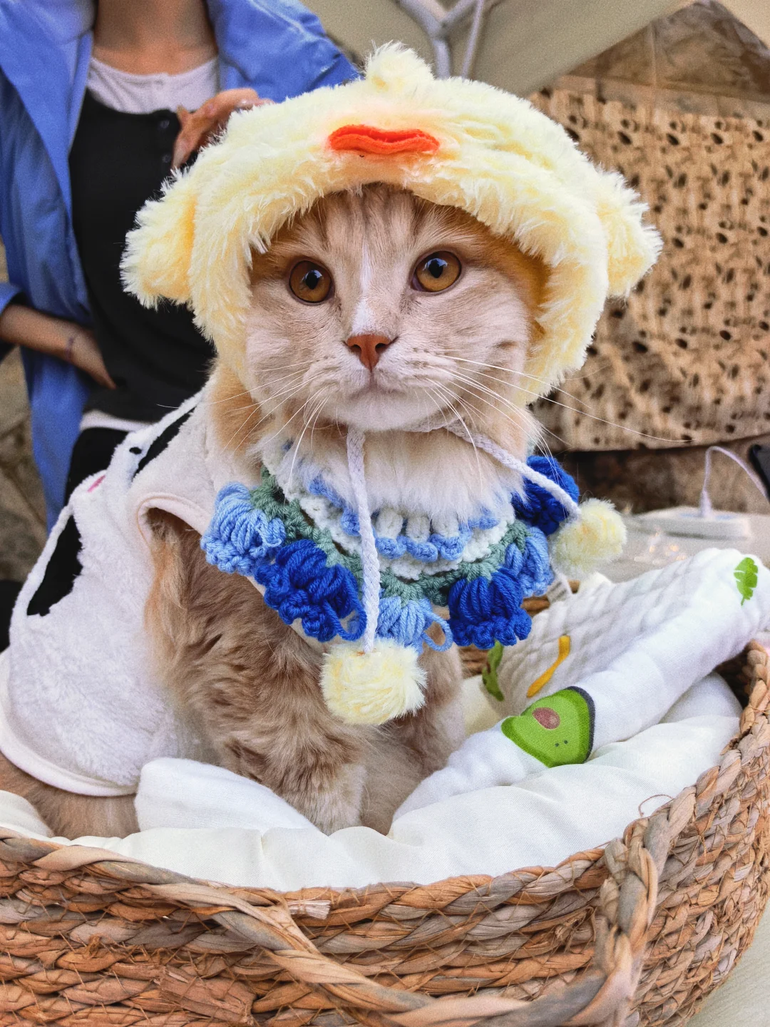 上新集·生活美学市集｜好逛好玩，现场见！