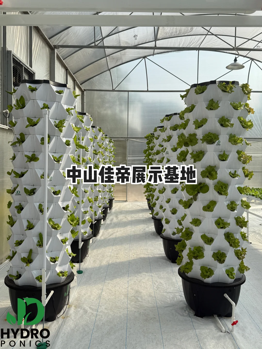 深耕农业十载，佳帝科技为你解锁种植新可能