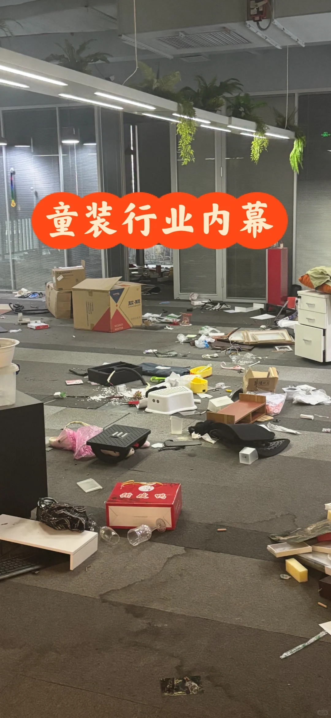 关于国产童服……等到项目倒闭我才敢说