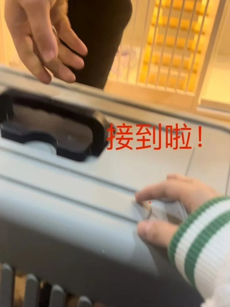 吕梁宠物托运运输-宠物单独空运陆运